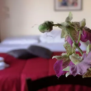 https://attico-il-campanile.palermohotels.org